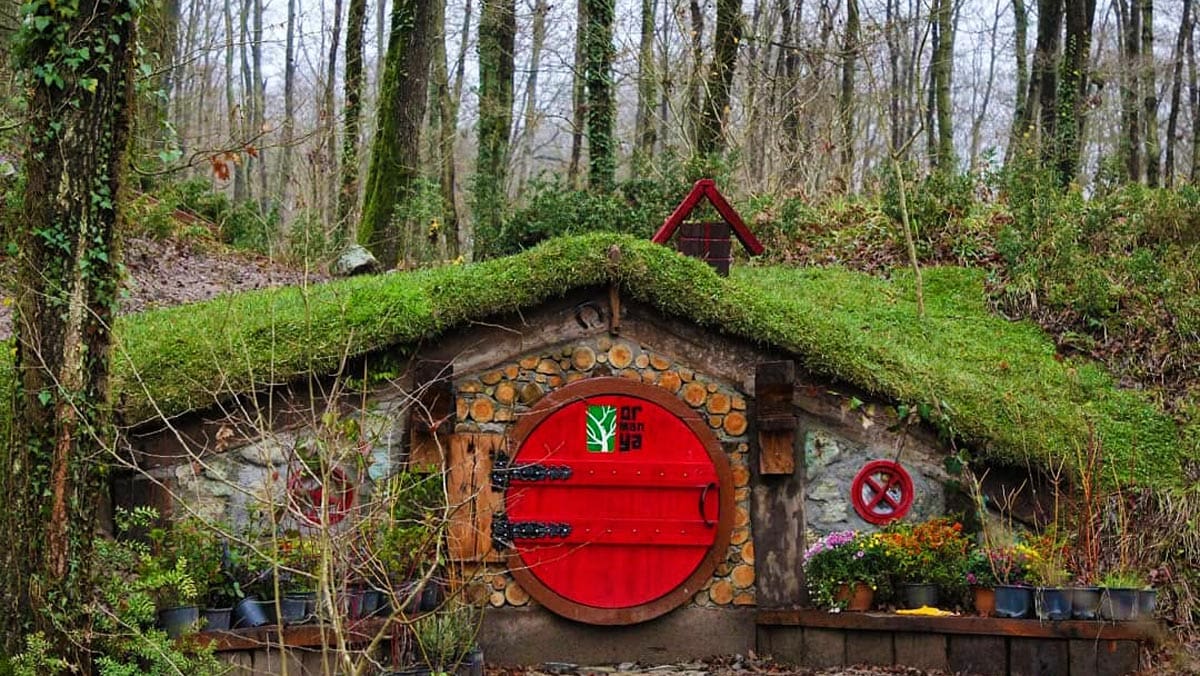 Günübirlik Abant Ormanya Maşukiye Turu