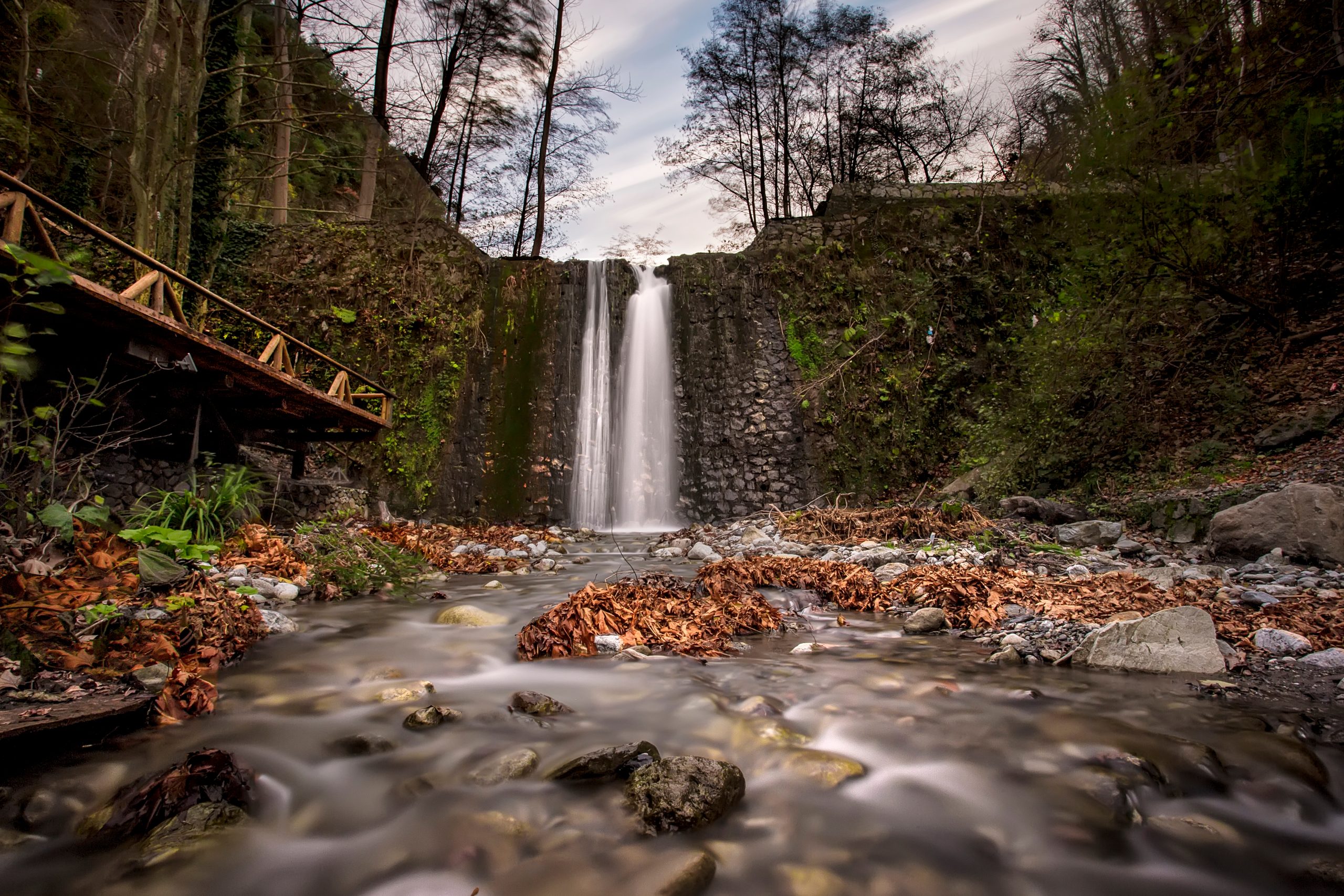 Günübirlik Abant Ormanya Maşukiye Turu