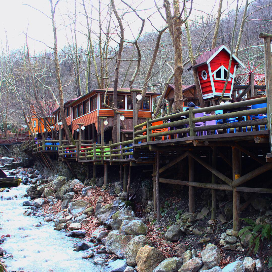 Günübirlik Abant Ormanya Maşukiye Turu