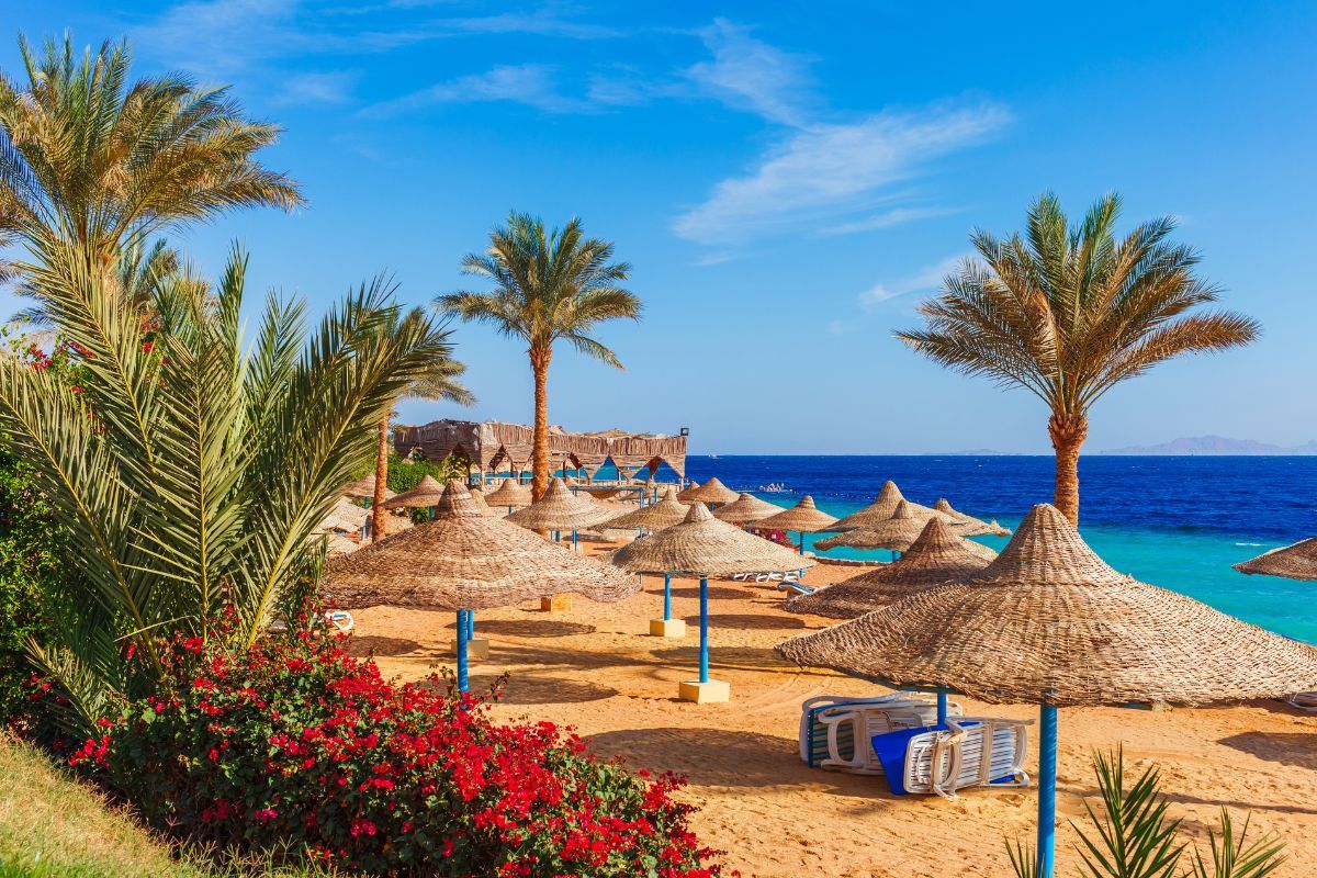 Sharm El Sheikh Turları